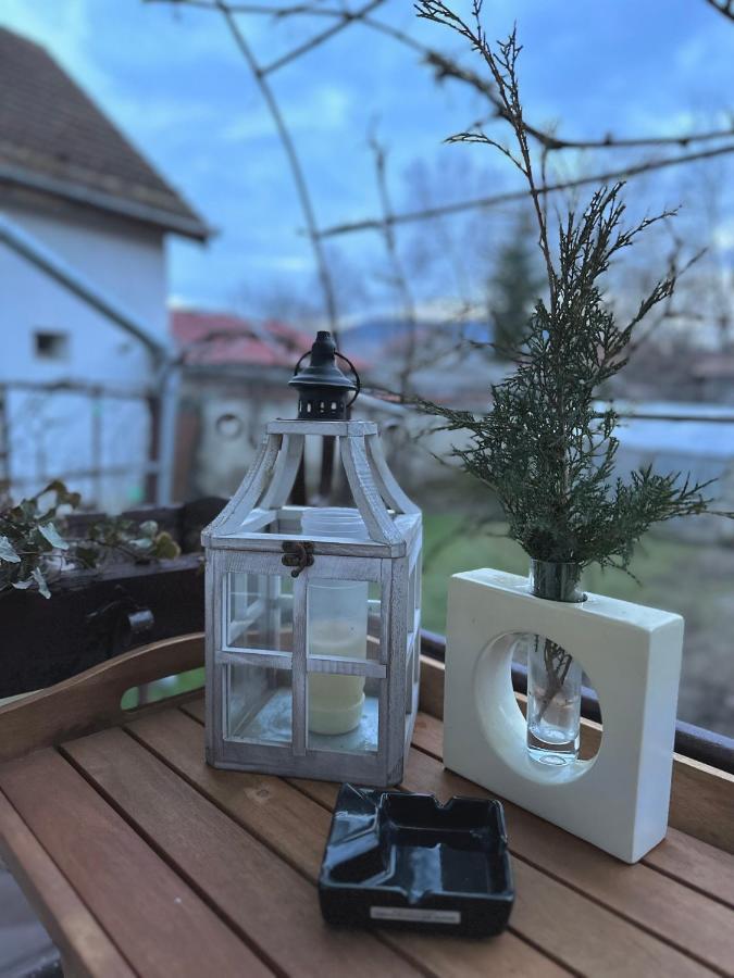 Casa 9 Leilighet Albeşti Eksteriør bilde